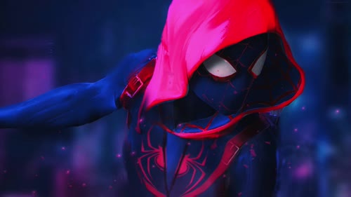 SPIDERMAN INTO SPIDERVERSE