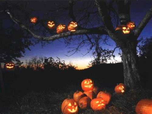 halloween